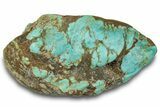 Polished Turquoise Specimen - Number Mine, Carlin, NV #260512-2